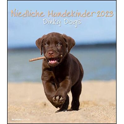 Alpha Simpatici cani bambini 2023 – Calendario da parete – Calendario con animali – 30 x 34: Dinky Dogs Alpha Simpatici cani bambini 2023 – Calendario da parete – Calendario con animali – 30 x 34: Dinky Dogs