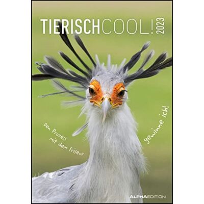 Alpha Tierisch cool! 2023 – Calendario da parete 23,7 x 34 cm – con scritte divertenti – Umorismo – Calendario da parete – con spazio per appunti – Alpha Tierisch cool! 2023 – Calendario da parete 23,7 x 34 cm – con scritte divertenti – Umorismo – Calendario da parete – con spazio per appunti –