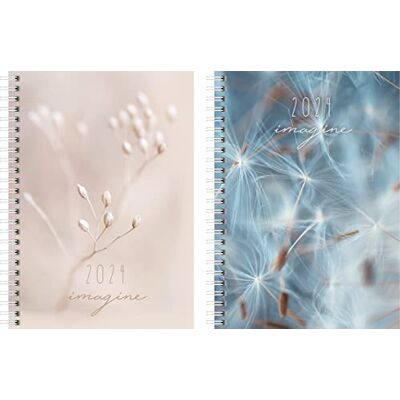 rido/idé ridoidé Agenda settimanale modello futura 2 2024 pianificatore settimanale tascabile 2 pagine = 1 settimana formato foglio: 14,8 x 20,8 cm, 2 motivi rido/idé ridoidé Agenda settimanale modello futura 2 2024 pianificatore settimanale tascabile 2 pagine = 1 settimana formato foglio: 14,8 x 20,8 cm, 2 motivi