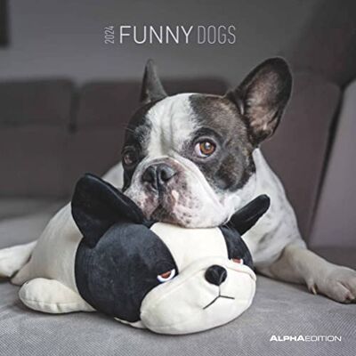 Alpha Calendario 2024 da muro FUNNY DOGS, 12 mesi, 30x30 cm Alpha Calendario 2024 da muro FUNNY DOGS, 12 mesi, 30x30 cm