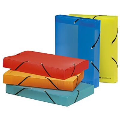 Exacompta Cartelle per archivio box Linicolor 5 colori assortiti (conf.11) Exacompta Cartelle per archivio box Linicolor 5 colori assortiti (conf.11)