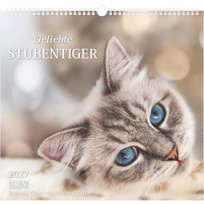 DUMONT Geliebte Stubentiger 2027: Wandkalender 38x35,5cm mit 12 Katzenmotiven und 3-sprachigem Kalendarium DUMONT Geliebte Stubentiger 2027: Wandkalender 38x35,5cm mit 12 Katzenmotiven und 3-sprachigem Kalendarium