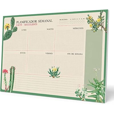 Grupo Erik : Planning da Tavolo A3 Botanical Cacti in spagnolo Planner settimanale 29,7 x 42 cm con 54 fogli a strappo, Agenda Organizer, Weekly Planner o Calendario Planner da scrivania Grupo Erik : Planning da Tavolo A3 Botanical Cacti in spagnolo Planner settimanale 29,7 x 42 cm con 54 fogli a strappo, Agenda Organizer, Weekly Planner o Calendario Planner da scrivania