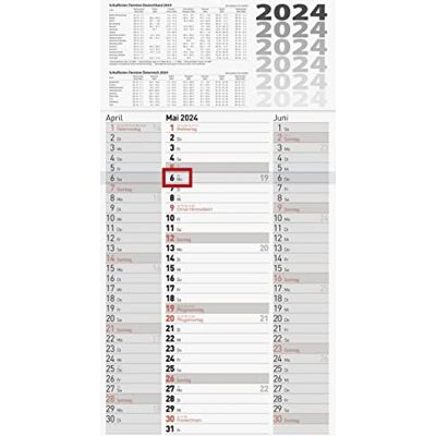 BRUNNEN Calendario 3 mesi 2024, 1 foglio = 3 mesi, 30 x 55,5 cm, 1 pezzo, colore: grigio BRUNNEN Calendario 3 mesi 2024, 1 foglio = 3 mesi, 30 x 55,5 cm, 1 pezzo, colore: grigio