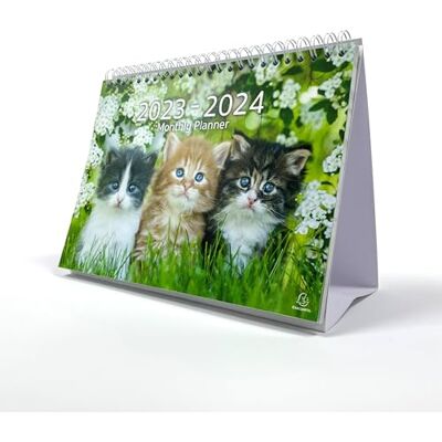 Exacompta Ref settembre 2023 – ottobre 2024 Calendario da scrivania/planner mensile con motivo gatto, mese per pagina, include festività del Regno Unito, 210 mm x 150 mm, si trova saldamente Exacompta Ref settembre 2023 – ottobre 2024 Calendario da scrivania/planner mensile con motivo gatto, mese per pagina, include festività del Regno Unito, 210 mm x 150 mm, si trova saldamente