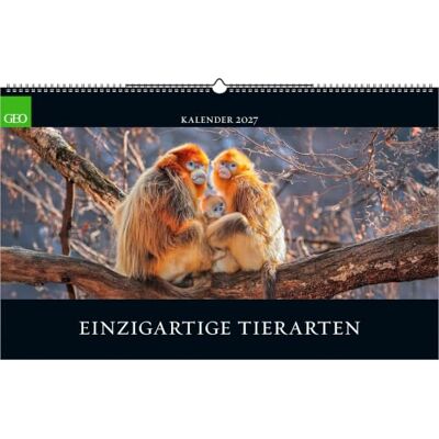 Teneues GEO Einzigartige Tierarten 2027: Wandkalender 58x36 cm mit 12 Tierfotografien, deutschem Kalendarium und Spiralbindung Teneues GEO Einzigartige Tierarten 2027: Wandkalender 58x36 cm mit 12 Tierfotografien, deutschem Kalendarium und Spiralbindung