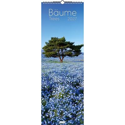 DUMONT Bäume 2027: Wandkalender 34x98 cm mit 12 Baumfotografien und sprachneutralem Kalendarium DUMONT Bäume 2027: Wandkalender 34x98 cm mit 12 Baumfotografien und sprachneutralem Kalendarium