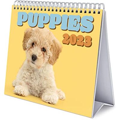 Grupo Erik Calendario Da Tavolo 2023 Cani Calendario Scrivania 2023, 12 Mesi E Planner Annuale 2024, 17 X 20 Cm, FSC, Ottimo Come Calendario 2023 Da Tavolo, Calendario Ufficio 2023 Grupo Erik Calendario Da Tavolo 2023 Cani Calendario Scrivania 2023, 12 Mesi E Planner Annuale 2024, 17 X 20 Cm, FSC, Ottimo Come Calendario 2023 Da Tavolo, Calendario Ufficio 2023