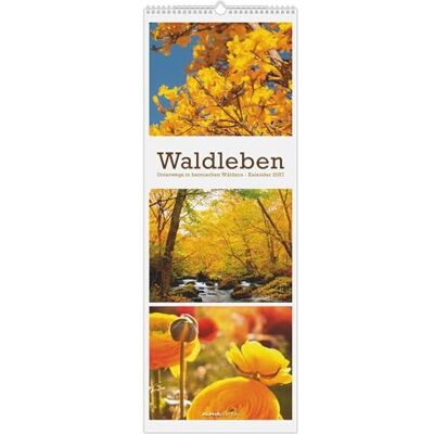 Alpha Waldleben Triplets 2027: Streifenkalender 25x69 cm mit 3 Waldmotiven pro Monat, Hochformat und Spiralbindung Alpha Waldleben Triplets 2027: Streifenkalender 25x69 cm mit 3 Waldmotiven pro Monat, Hochformat und Spiralbindung