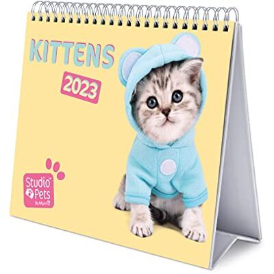 Grupo Erik Calendario Da Tavolo 2023 Gattini Calendario Scrivania 2023, 12 Mesi E Planner Annuale 2024, 17 X 20 Cm, FSC, Ottimo Come Calendario 2023 Da Tavolo, Calendario Ufficio 2023 Grupo Erik Calendario Da Tavolo 2023 Gattini Calendario Scrivania 2023, 12 Mesi E Planner Annuale 2024, 17 X 20 Cm, FSC, Ottimo Come Calendario 2023 Da Tavolo, Calendario Ufficio 2023