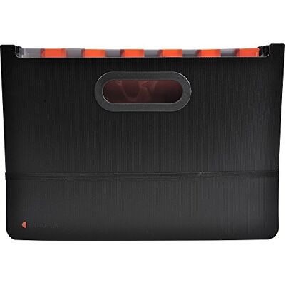 Exacompta Exactive® Organizer per valigie, 33 cm, Nero (Noir) Exacompta Exactive® Organizer per valigie, 33 cm, Nero (Noir)