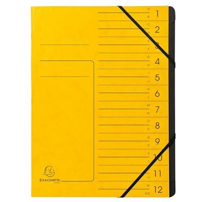 Exacompta Rif. 541209E Cartone da 10 raccoglitori con dorso aggraffato, con elastico, copertina stampata in carta lucida e interna in carta riciclata nera, 12 scomparti, 24,5 x 32 cm, formato A4 Exacompta Rif. 541209E Cartone da 10 raccoglitori con dorso aggraffato, con elastico, copertina stampata in carta lucida e interna in carta riciclata nera, 12 scomparti, 24,5 x 32 cm, formato A4