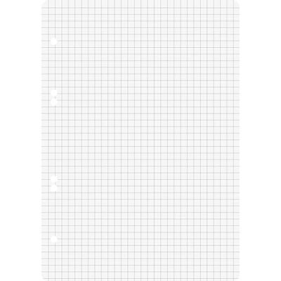 BRUNNEN 10X Ricarica per Raccoglitore ad Anelli, Formato A5, 50 Fogli BRUNNEN 10X Ricarica per Raccoglitore ad Anelli, Formato A5, 50 Fogli