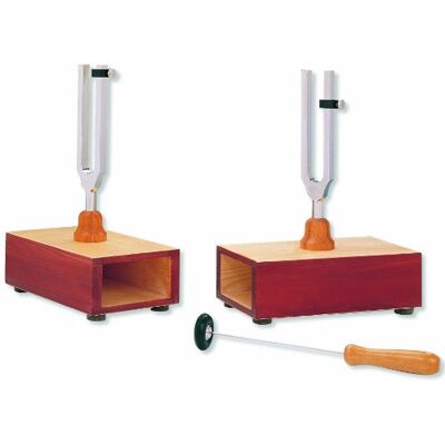 3B Scientific risonanza Tuning forchette, per esperimenti su Beats (1 coppia) 3B Scientific risonanza Tuning forchette, per esperimenti su Beats (1 coppia)