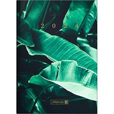 BRUNNEN Calendario giornaliero "Tropical Palm" modello 795 2024 1 pagina = 1 giorno dimensione foglio: 14,5 x 20,6 cm, multicolore BRUNNEN Calendario giornaliero "Tropical Palm" modello 795 2024 1 pagina = 1 giorno dimensione foglio: 14,5 x 20,6 cm, multicolore