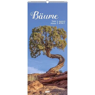 DUMONT Bäume 2027: Wandkalender 30x70 cm mit beeindruckenden Baumfotografien und sprachneutralem Kalendarium DUMONT Bäume 2027: Wandkalender 30x70 cm mit beeindruckenden Baumfotografien und sprachneutralem Kalendarium