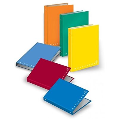 Pigna Scuola Binder A4 Monocromo Anelli Mix di Colori Confezione da 4 Pigna Scuola Binder A4 Monocromo Anelli Mix di Colori Confezione da 4