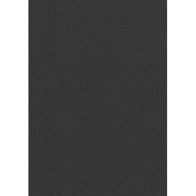 Obiettivo Pavo - 250 g/m2 - Pack di 100 - Nero Obiettivo Pavo - 250 g/m2 - Pack di 100 - Nero