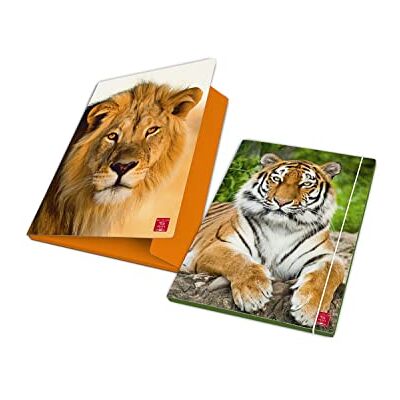 Pigna , Cartella portadocumenti con elastico ANIMAL, dorso 1,2, formato 26x35,5 cm., pacco da 6 pezzi Pigna , Cartella portadocumenti con elastico ANIMAL, dorso 1,2, formato 26x35,5 cm., pacco da 6 pezzi