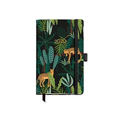 Miquelrius 31508 – Agenda 2020, Giorno Pagina, 90 x 140 mm, Tascabile, Foresta Castellano Miquelrius 31508 – Agenda 2020, Giorno Pagina, 90 x 140 mm, Tascabile, Foresta Castellano