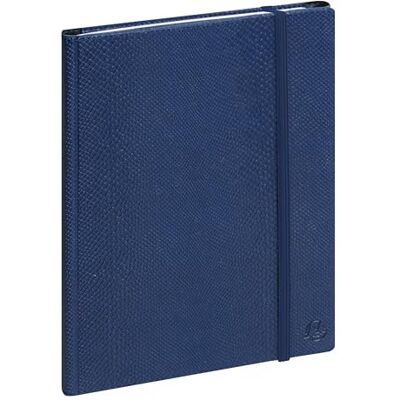 Exacompta Agenda settimanale da ufficio SAD 20S All in one, 15 x 21 cm, da settembre 2024 a dicembre 2025-16 mesi, colore: blu Exacompta Agenda settimanale da ufficio SAD 20S All in one, 15 x 21 cm, da settembre 2024 a dicembre 2025-16 mesi, colore: blu