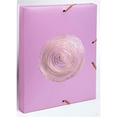 Exacompta Rif. 59890E 1 contenitore con elastici Ellipse in polipropilene riciclato retro 4 cm dimensioni 25 x 33 cm per formato A4 colori casuali consegnate montate Exacompta Rif. 59890E 1 contenitore con elastici Ellipse in polipropilene riciclato retro 4 cm dimensioni 25 x 33 cm per formato A4 colori casuali consegnate montate