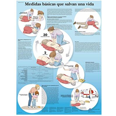 3B Scientific VR3770uu Stampato su carta, misure di base che Salvan 3B Scientific VR3770uu Stampato su carta, misure di base che Salvan