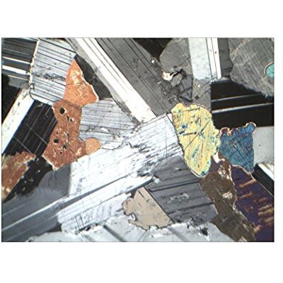3B Scientific Rocce e Minerali, Set di Base No i 3B Scientific Rocce e Minerali, Set di Base No i