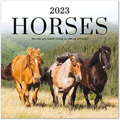 Grupo Erik Calendario Cavalli 2023 da Muro 12 mesi + 4 in omaggio, 30x30 cm, FSC ottimo come calendario 2023 da parete, calendario cavalli 2023, calendario 2023 animali Grupo Erik Calendario Cavalli 2023 da Muro 12 mesi + 4 in omaggio, 30x30 cm, FSC ottimo come calendario 2023 da parete, calendario cavalli 2023, calendario 2023 animali