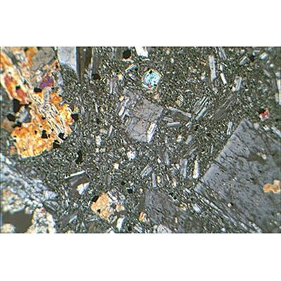 3B Scientific Rocce e Minerali, Rocce Metamorfiche 3B Scientific Rocce e Minerali, Rocce Metamorfiche