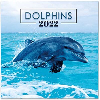 Grupo Erik Calendario 2022 da Muro Delfini 12 mesi + 4 in omaggio, 30x30 cm, FSC® ideale come calendario 2022 da parete, calendario ufficio 2022, calendario animali 2022 Grupo Erik Calendario 2022 da Muro Delfini 12 mesi + 4 in omaggio, 30x30 cm, FSC® ideale come calendario 2022 da parete, calendario ufficio 2022, calendario animali 2022