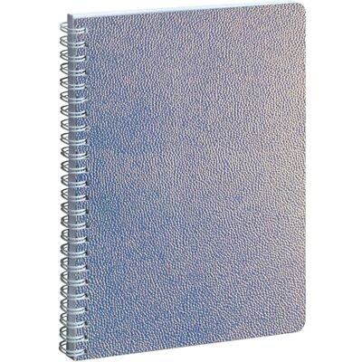 Exacompta Ariel Settimanale Lady 20S, 15 x 21 cm, 12 mesi, da gennaio a dicembre 2027, colore: Argento Exacompta Ariel Settimanale Lady 20S, 15 x 21 cm, 12 mesi, da gennaio a dicembre 2027, colore: Argento