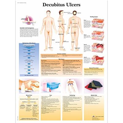 3B Scientific Tabella Decubitus Ulcers 3B Scientific Tabella Decubitus Ulcers