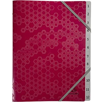 Exacompta Rif. 58310E Cartella portadocumenti con 3 alette Maïa chiusura elastica in polipropilene riciclato 12 scomparti dimensioni 25x32 cm per A4 colori casuali Exacompta Rif. 58310E Cartella portadocumenti con 3 alette Maïa chiusura elastica in polipropilene riciclato 12 scomparti dimensioni 25x32 cm per A4 colori casuali