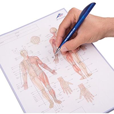 3B Scientific Agopuntura Meridian Blocco Note 3B Scientific Agopuntura Meridian Blocco Note