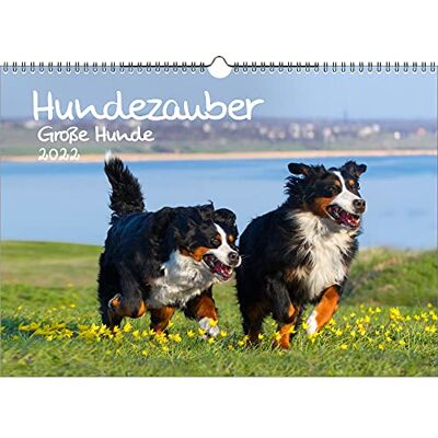 Seelenzauber Dog Magic Calendario per cani grandi, formato DIN A3, 2022, per cuccioli e cani, motivo: Soul Magic Seelenzauber Dog Magic Calendario per cani grandi, formato DIN A3, 2022, per cuccioli e cani, motivo: Soul Magic