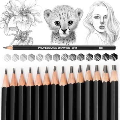 Blendura 14 Matite da Disegno Professionali Matite per Schizzi Set 12B, 10B, 8B, 7B, 6B, 5B, 4B, 3B, 2B, B, HB, 2H, 4H, 6H Blendura 14 Matite da Disegno Professionali Matite per Schizzi Set 12B, 10B, 8B, 7B, 6B, 5B, 4B, 3B, 2B, B, HB, 2H, 4H, 6H