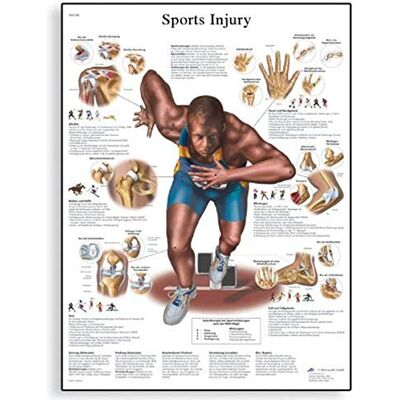 3B Scientific , grafico con gli infortuni sportivi, unlaminated 3B Scientific , grafico con gli infortuni sportivi, unlaminated