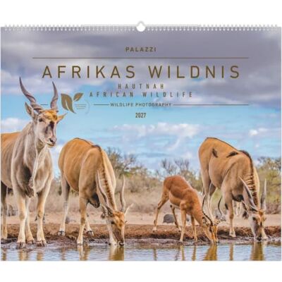 palazzi Hautnah Afrikas Wildnis 2027: Wandkalender 60x50 cm mit 12 Tierfotografien und humorvollen Bildunterschriften palazzi Hautnah Afrikas Wildnis 2027: Wandkalender 60x50 cm mit 12 Tierfotografien und humorvollen Bildunterschriften