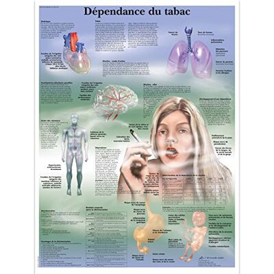 3B Scientific Dipendenza da Nicotina Tavola Didattica Anatomica su Carta, Multicolore, 50 x 67 cm 3B Scientific Dipendenza da Nicotina Tavola Didattica Anatomica su Carta, Multicolore, 50 x 67 cm