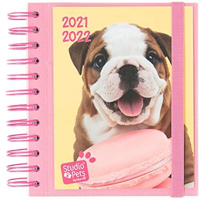 Grupo Erik Diario Scuola 2021 2022 Studio Pets Dogs, agenda scolastica 2021 2022 giornaliera con 11 mesi, 16x14 cm, ideale come Diario elementari, Diario scuola media Grupo Erik Diario Scuola 2021 2022 Studio Pets Dogs, agenda scolastica 2021 2022 giornaliera con 11 mesi, 16x14 cm, ideale come Diario elementari, Diario scuola media