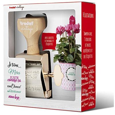 Trodat Timbro Vintage "Congratulazioni" 6 formule e un timbro inchiostrante di 3 colori diversi Sublime montatura in legno, successo garantito Trodat Timbro Vintage "Congratulazioni" 6 formule e un timbro inchiostrante di 3 colori diversi Sublime montatura in legno, successo garantito