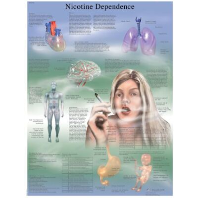 3B Scientific Grafico scientifico della dipendenza da nicotina, Laminato., 1 3B Scientific Grafico scientifico della dipendenza da nicotina, Laminato., 1
