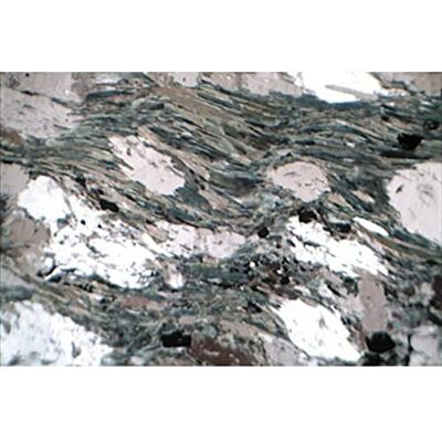 3B Scientific Rocce e Minerali, Rocce Ignee 3B Scientific Rocce e Minerali, Rocce Ignee