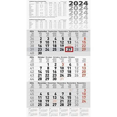 BRUNNEN Calendario 3 mesi 2024, 1 foglio = 3 mesi, 30 x 55,5 cm, 1 pezzo, colore: grigio BRUNNEN Calendario 3 mesi 2024, 1 foglio = 3 mesi, 30 x 55,5 cm, 1 pezzo, colore: grigio