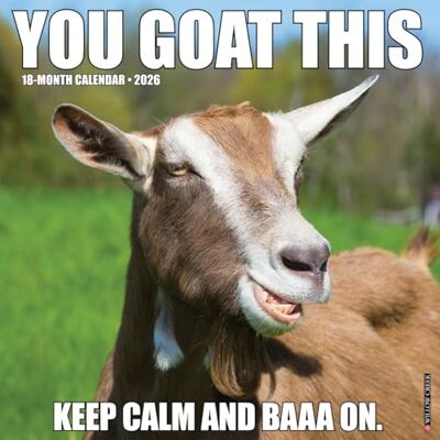 Willow Creek Press You Goat This 2026 Wall Calendar Willow Creek Press You Goat This 2026 Wall Calendar