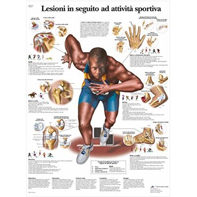 3B Scientific VR4188UU Lesioni in Seguito ad Attività Sportiva 3B Scientific VR4188UU Lesioni in Seguito ad Attività Sportiva
