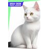 Mann, Ioan Pocket Calendar 2024 2026: Three-Year Monthly Planner for Purse , 36 Months from January 2024 to December 2026   Simple cat   White background