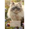 Bullock, Kate Cat In The Flower Garden Hardcover Daily Journal Book: 366 Lined Pages