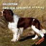 Ferguson, Franklin English Springer Spaniel Collection Calendar 2024-2025: 24 Month Planner To Keep You On Track. English Springer Spaniel Calendar 2024-2025. Perfect ... 12 month 2025. Kalendar Calendario Calendrier